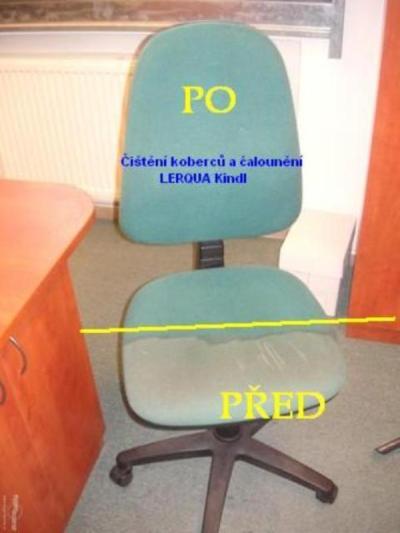 Domácnost | Čistič koberce
