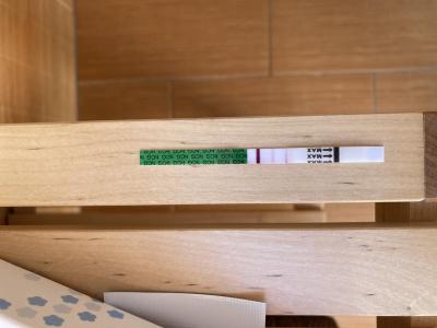 Testování a těhotenský test | Mini duch nebo nic Pepino test