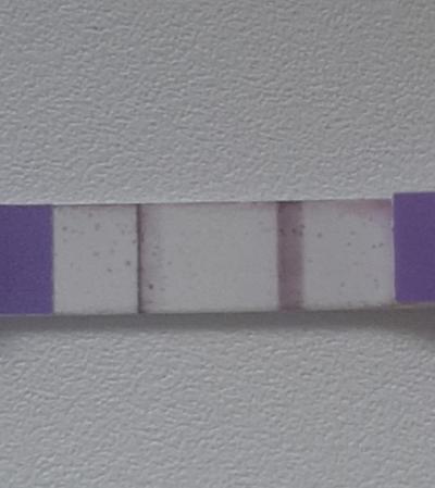 Testování a těhotenský test | Pozitivní test?