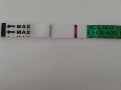 Testování a těhotenský test | Tt v den očekávané ms duch?