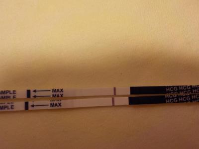 Testování a těhotenský test | Baby Top Test - zkušenosti