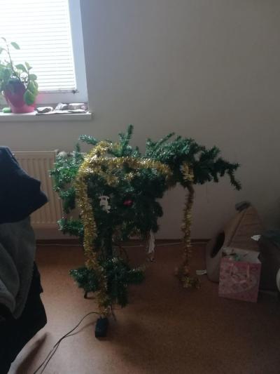 Pro pobavení | Jedna normalní vánoční