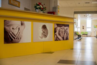 Porodnice České Budějovice, Nemocnice České Budějovice, a.s., Gynekologicko-porodnické oddělení: Recepce Perinatologického centra.