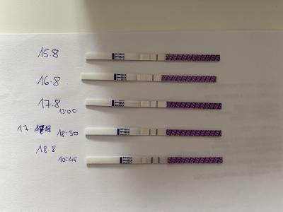 Snažení | OVU test - prosím o radu
