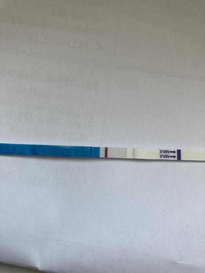 Testování a těhotenský test | Tt v den očekávané ms duch?