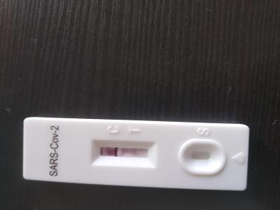 Koronavirus v ČR | Covid test, co si myslet