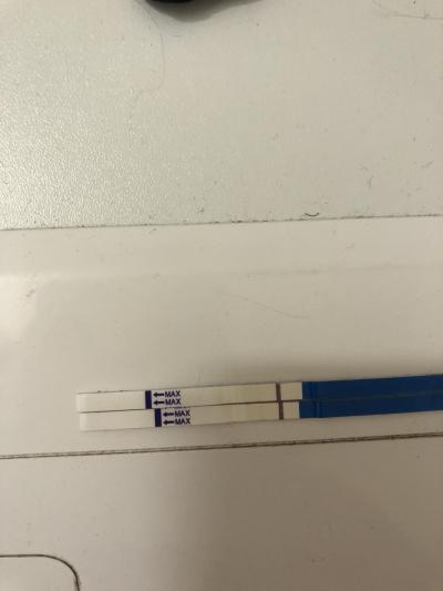 Testování a těhotenský test | Dnes termín menstruace - je tam duch?