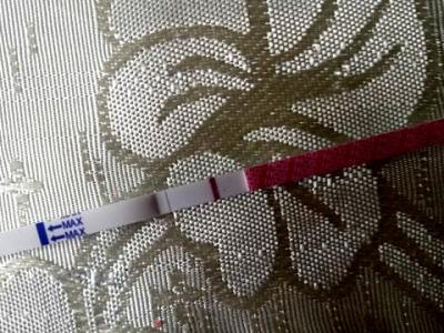 Testování a těhotenský test | Vidíte něco, duch nebo ryska nebo nic?