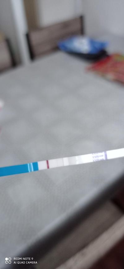 Testování a těhotenský test | Vidíte ducha?