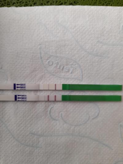 Testování a těhotenský test | Ovulacni test po biochemickem těhotenství