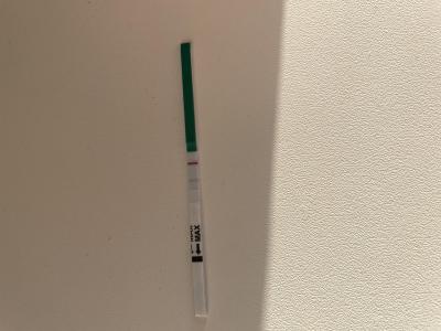 Testování a těhotenský test | Těhotensky test den před MS