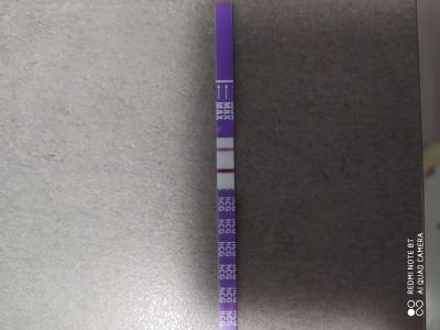 Testování a těhotenský test | 14dpo test, co myslíte?