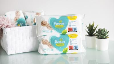 Pampers, Několik kusů dětských vlhčených ubrousků Pampers New Baby, se zátiším s bílým košíkem a sukulenty