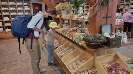 Botanicus v Ostré u Prahy: Ideální tip na rodinný výlet. Co všechno na vás čeká?