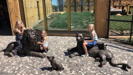 Surikaty a gepard kousek od vás: Proč zavítat do Zoo Chleby?