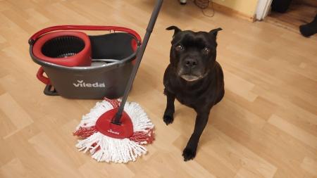 Vileda TURBO: Jak uklidit domácnost rychlostí blesku?