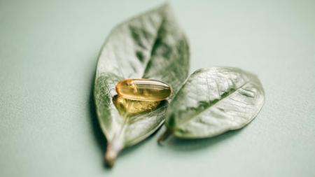 Zničená rodina: Manžel tajně užíval kratom, teď čelí šokujícím důsledkům!