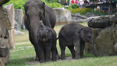 Zoo Praha