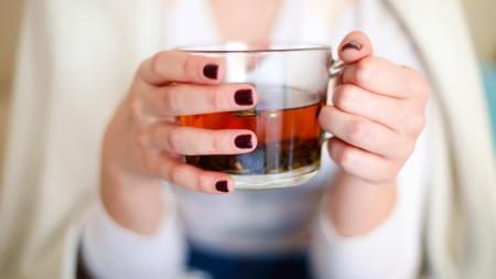 Kotvičník a jeho účinky