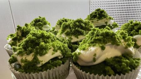 Mechové cupcaky