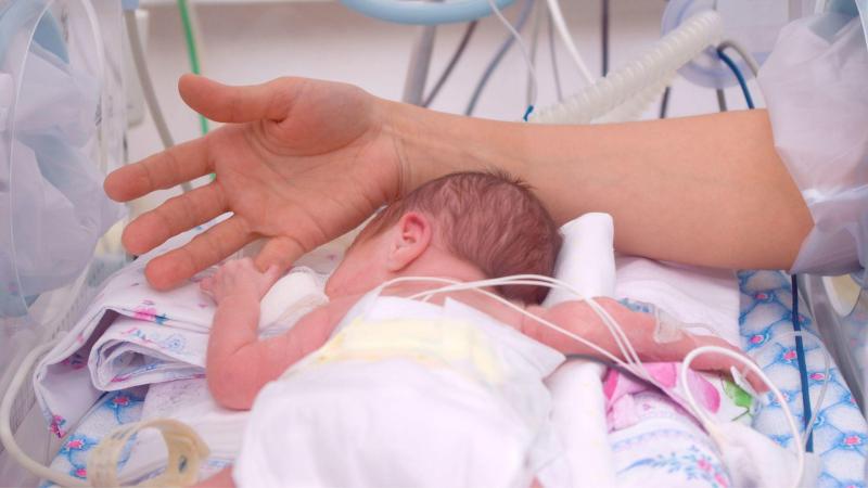 Nedonošené malé miminko leží v inkubátoru na bříšku a maminka mu drží malou ručičku