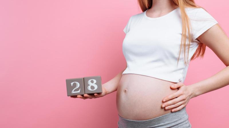 Maminka v 28 týdnu těhotenství, těhotenství týden po týdnu
