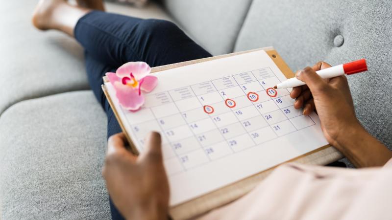 Žena si vede menstruační kalendář, těhotenství týden po týdnu