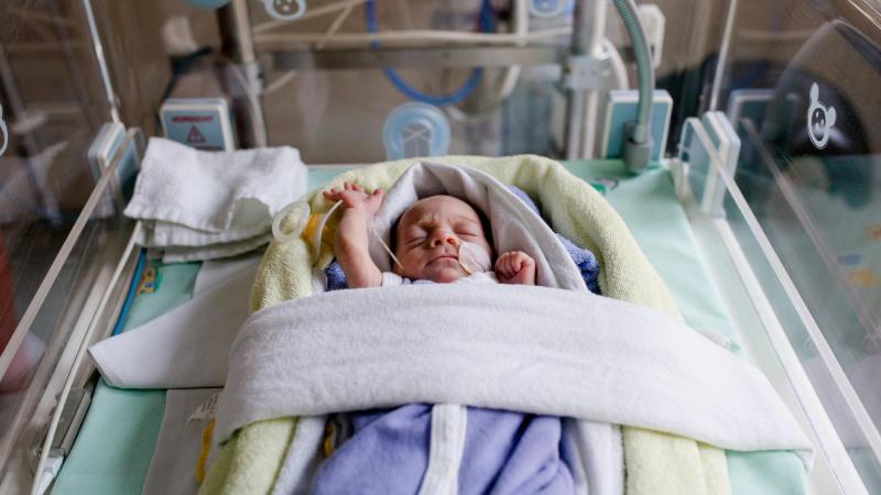 Miminko leží v porodnici na neonatologickém oddělení v inkubátoru
