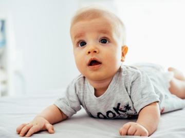 3 tipy, jak na správné pasení koníčků