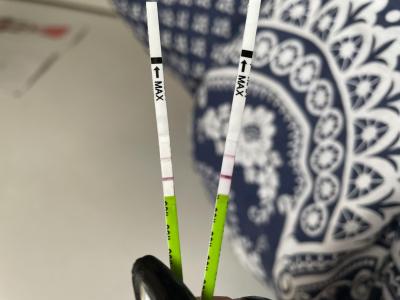 Testování a těhotenský test | Test… Co si myslíte???