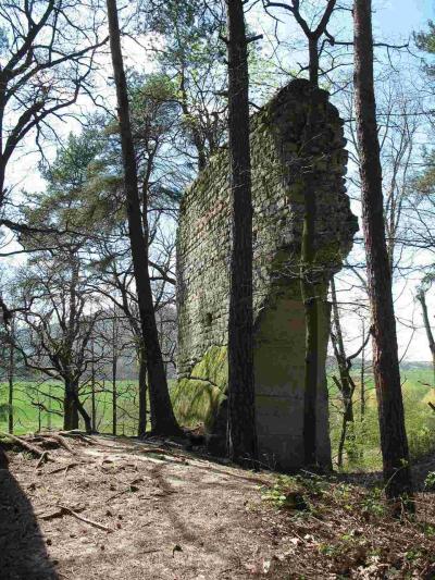 Vítkovec