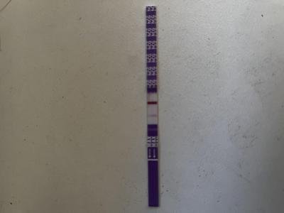 Testování a těhotenský test | Testování listopad 2022