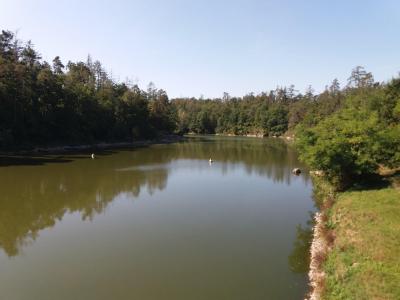 JEVIŠOVICE