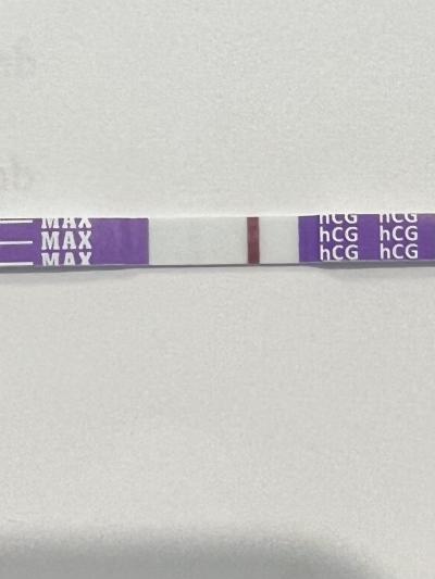 Testování a těhotenský test | 3 dny staré embryo
