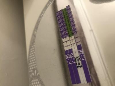 Těhotenství | Těhotenský test/sílící čárka
