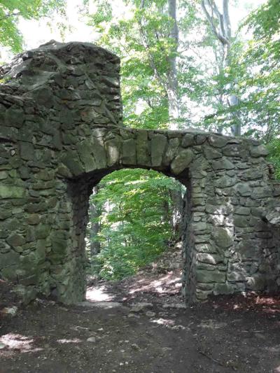 Zřícenina hradu Rožnov (Hradisko)
