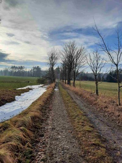 PROCHÁZKA 31.12.2022