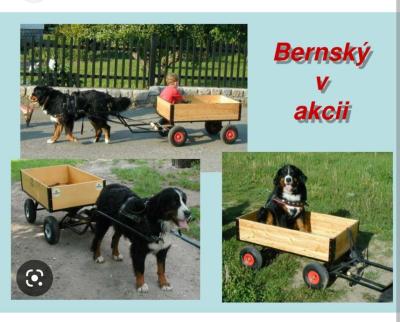 Vše možné | Nákup taska/kosik