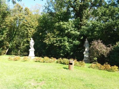 JEVIŠOVICE