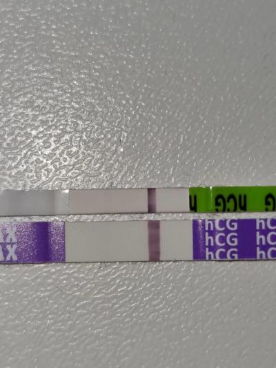 Testování a těhotenský test | Duch v den MS