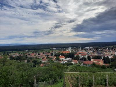 BZENEC