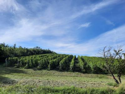 DÍVČÍ HRADY DĚVIČKY