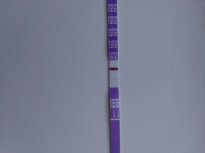 Testování a těhotenský test | Mama test