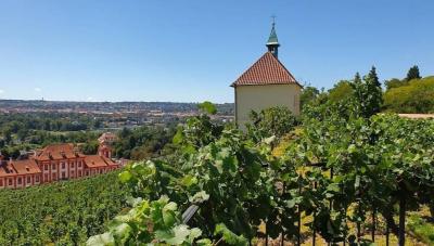 Vinice sv. Kláry