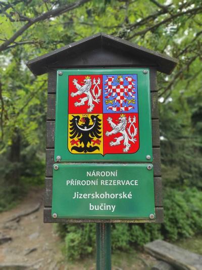 Paličník