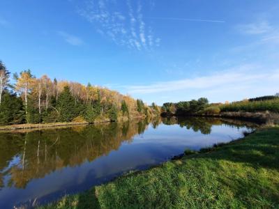 Procházka