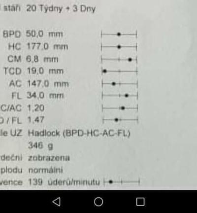 Těhotenství | Hodnoty TCD a CM 2. screening