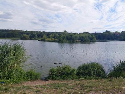 Kyjský rybník