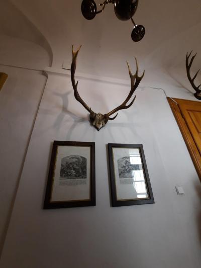 KÁMEN