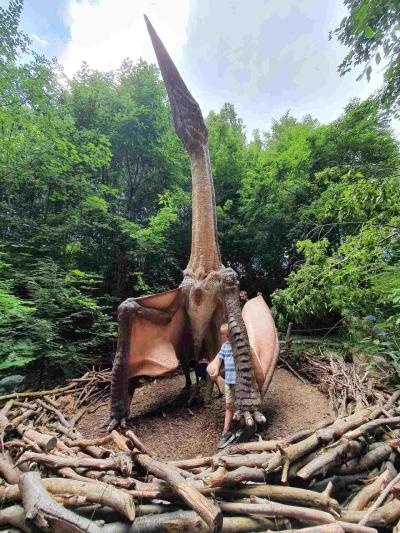 DINOPARK zoo Vyškov